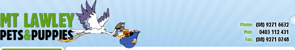 Mount Lawley Pets & Puppies