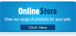 Online Store