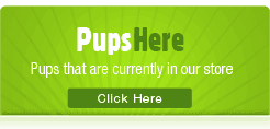 Pups Here