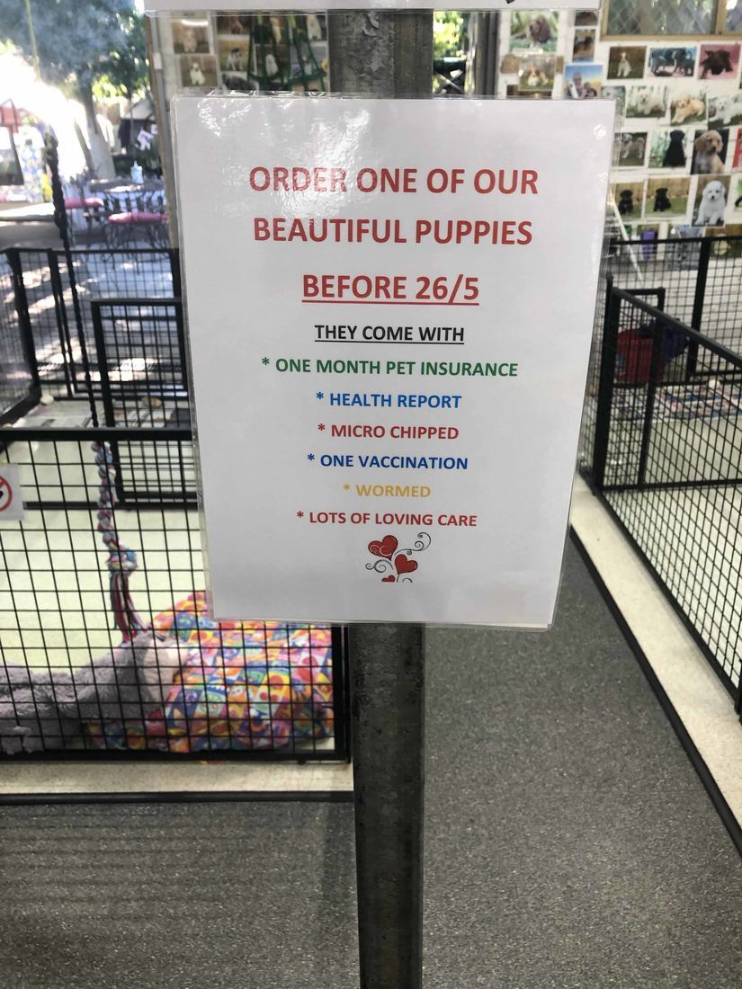 mount lawley pets and puppies